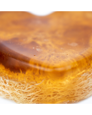 Myjka Loofah KORZENNA
