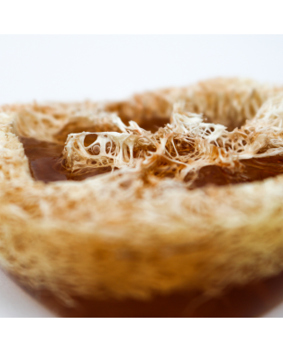 Myjka Loofah KORZENNA