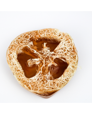 Myjka Loofah KORZENNA