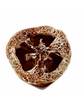 Myjka Loofah CZEKOLADOWE BROWNI