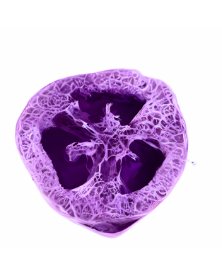 Myjka Loofah ULOTNE MARZENIA