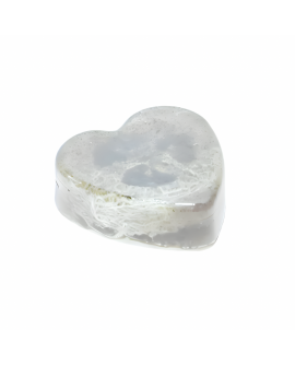 Myjka Loofah GWIAZDA
