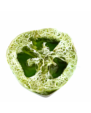 Myjka Loofah LEŚNA CISZA