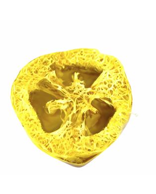 Myjka Loofah CYTRYNOWE LOVE