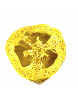 Myjka Loofah CYTRYNOWE LOVE