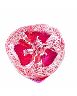 Myjka Loofah RÓŻANA