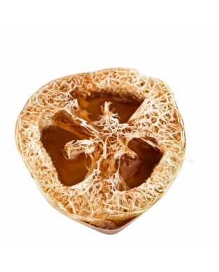 Myjka Loofah KORZENNA