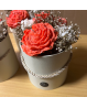 Pachnący Flowerbox