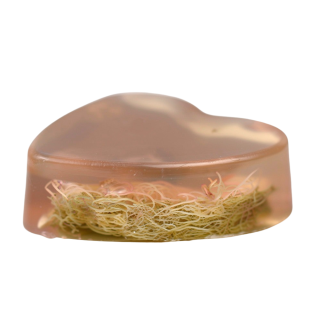 Myjka Loofah Włoskie Tiramisu – Peeling z zapachem kawy i wanilii dla słodkich chwil | Laavaar